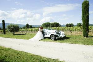 Aline CLADEL - TRIPLE ECLATS