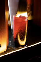 César TRESCA - 213 MEDIA